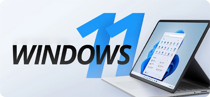 Windows 11